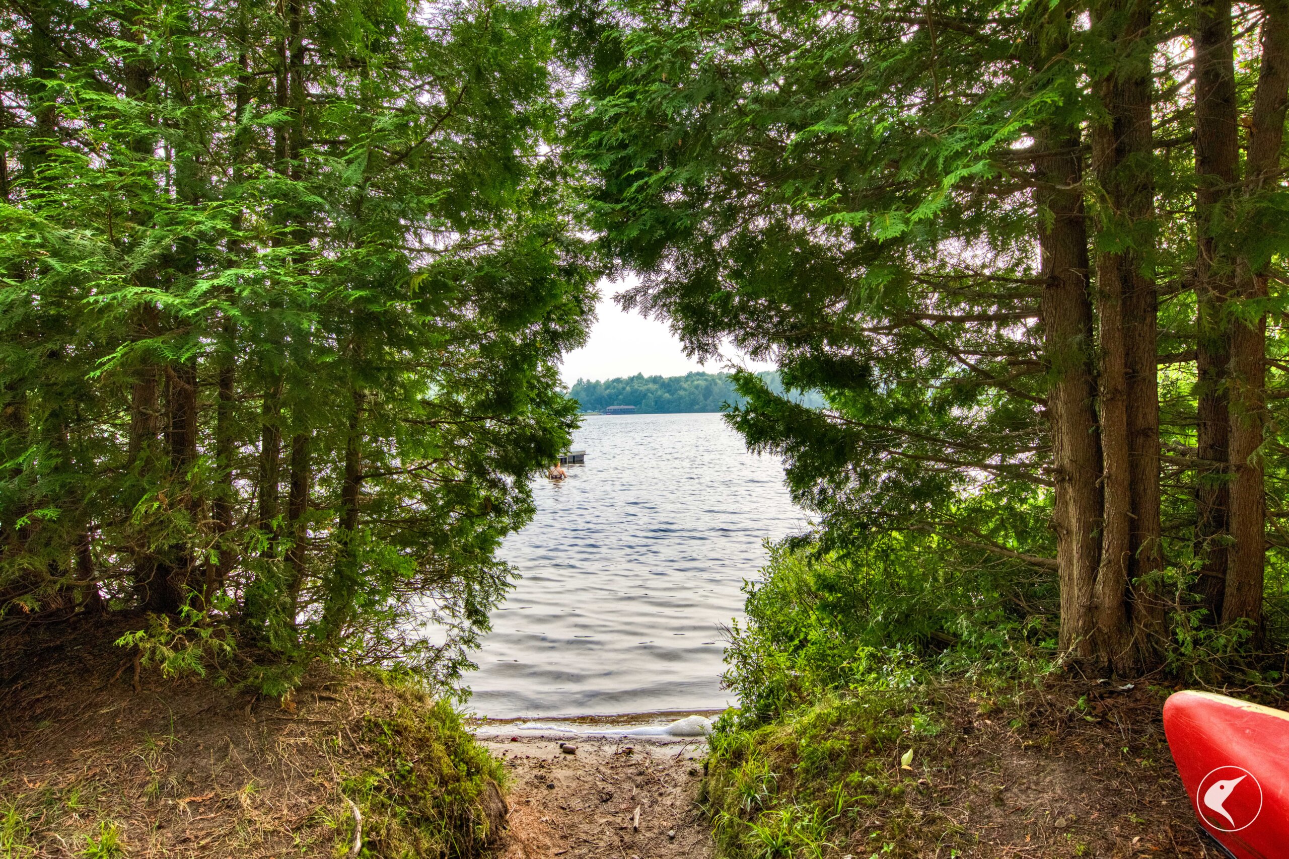 Duane NY Real Estate Duane Homes for Sale Merrill L. Thomas, Inc