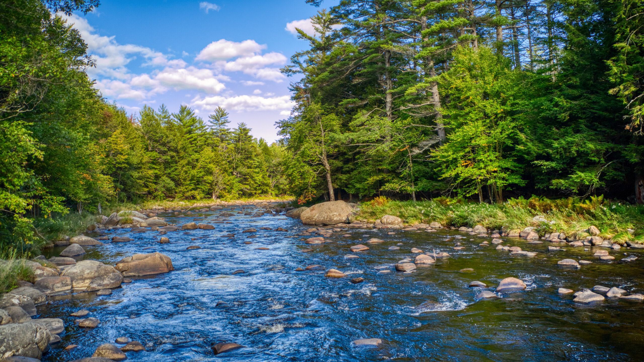 Ausable River Real Estate Merrill L. Thomas, Inc. Real Estate